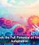 Unlock the Full Potential of Your IT Automation