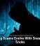 Phishing Scams Evolve With Sneaky New Tricks