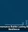 Data Governance Builds Lasting Business Resilience