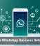 AI Makes WhatsApp Business Setup Easier